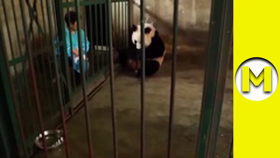 Max TV - сезон 1 - серія 161