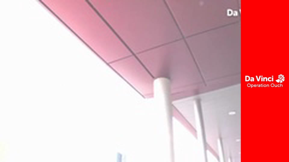 Операция "Ой!" - Иммунная армия