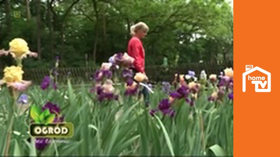 Ogród bez tajemnic S1E35