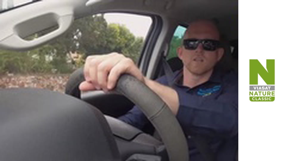 Aussie Snake Wranglers - Snake Surfers