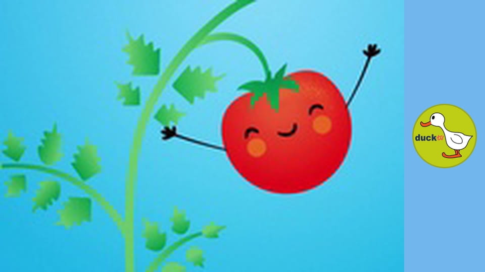 Happy Garden - Tomato