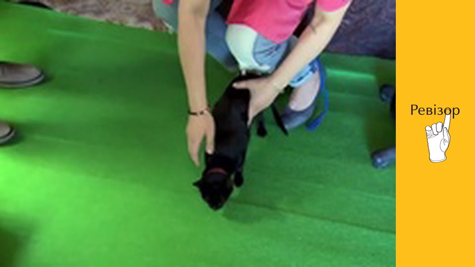 Ревізор, Сезон 7, Випуск 18