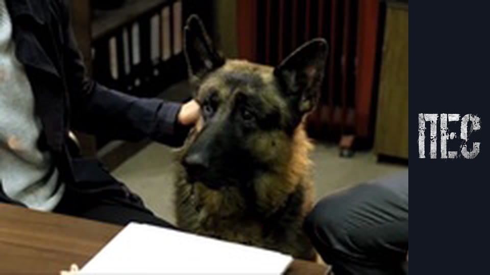 Пёс, Сезон 3, Серия 22