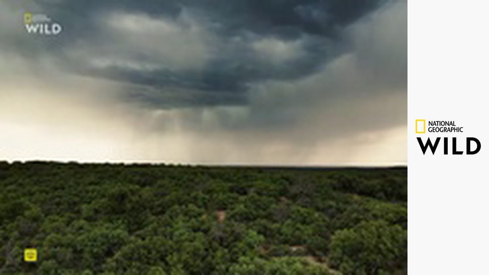 Земля пиренейской рыси S1E1 - Зима