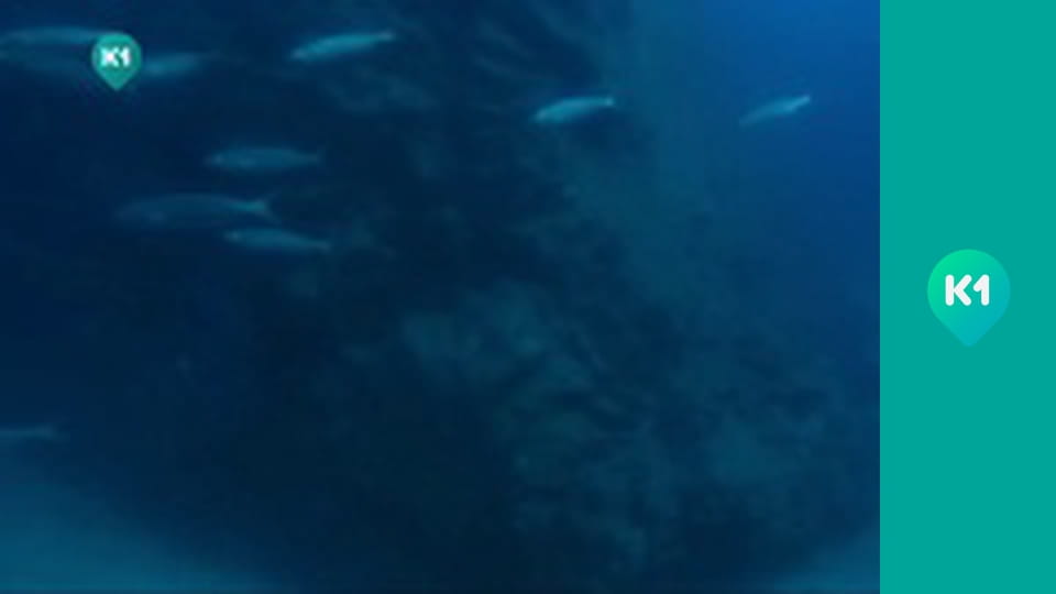 "Орел і Решка".