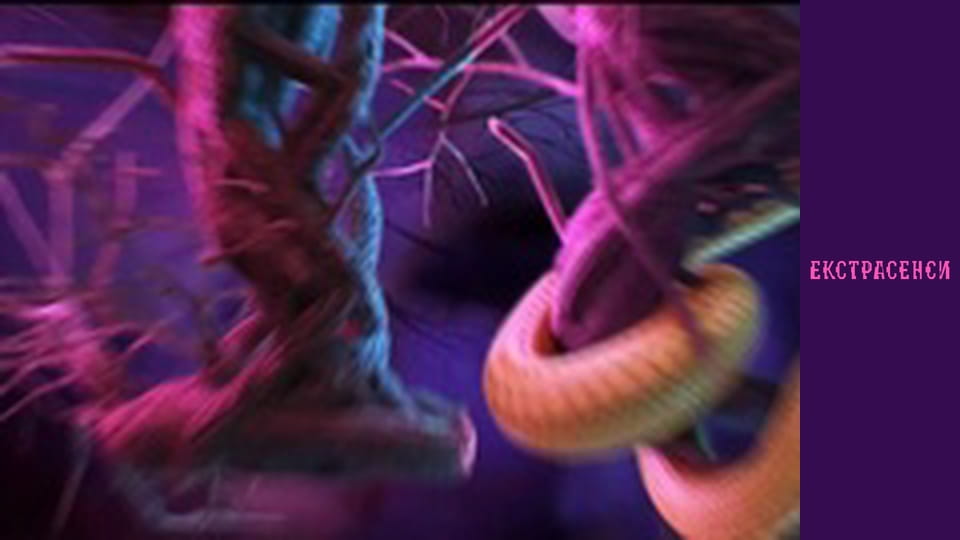 Season 18, Episode 8, Part 1