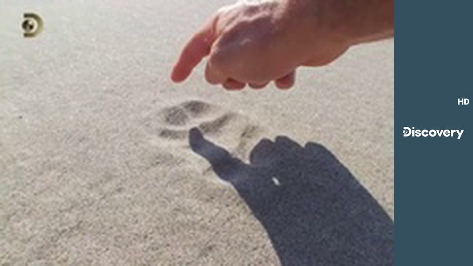 Эд Стаффорд: Голое выживание S2E2