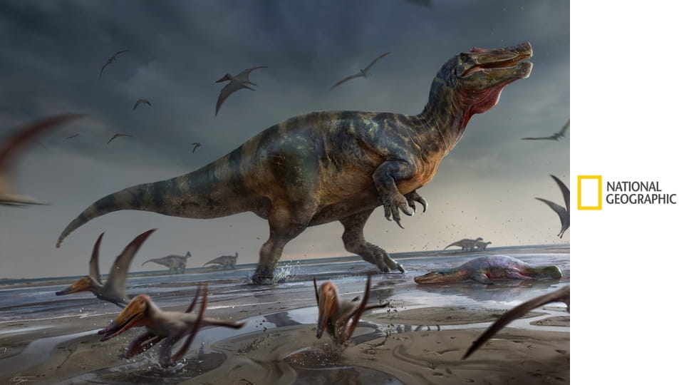 Tajemnicze wyspy S1E4 - Wyspa dinozaurów