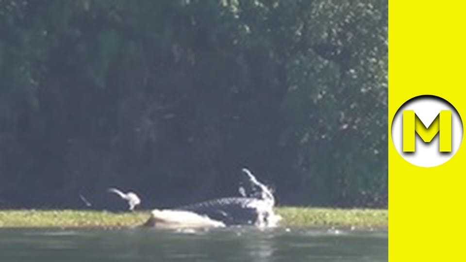 Max TV - сезон 1 - серія 166