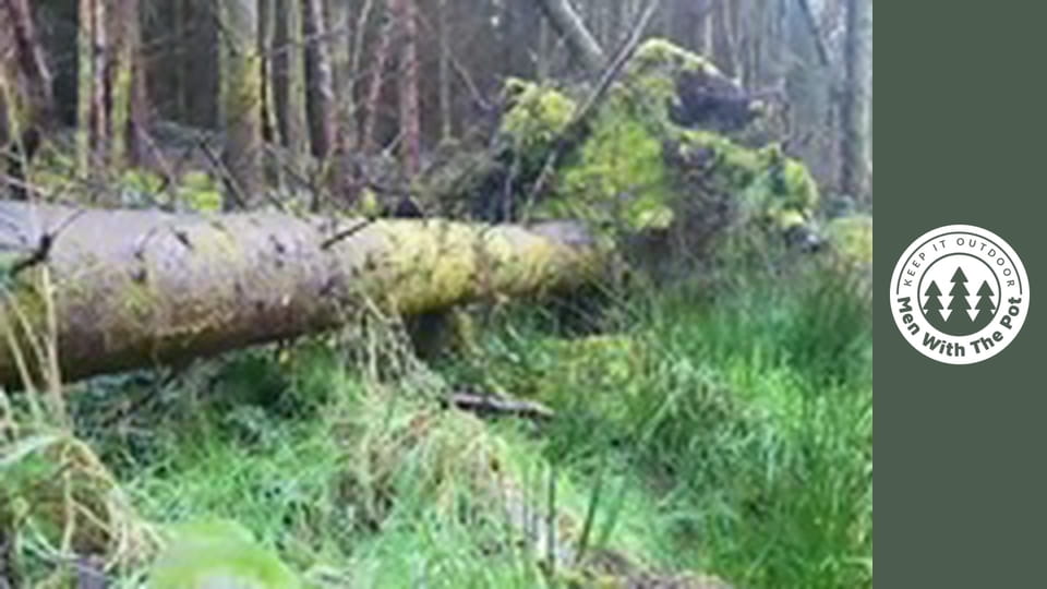 Potatoes prepared in the forest