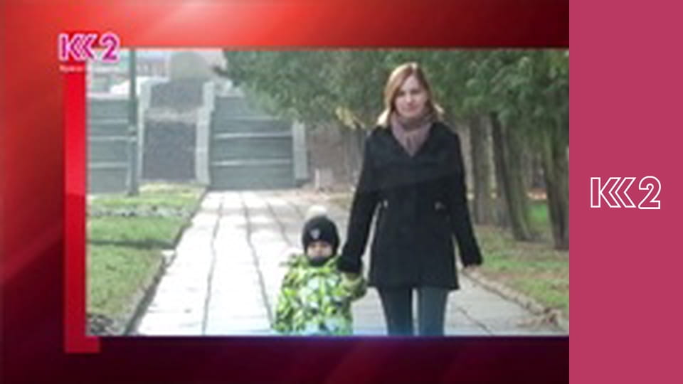 Смак Карпат E16 - Гороховий суп