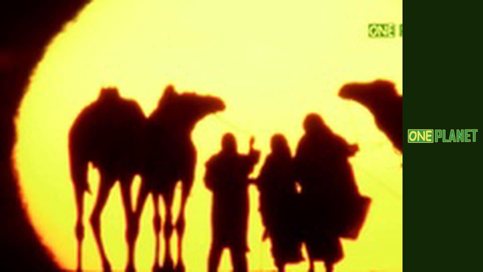 Отчаянные часы, 5 эп. Пожар.