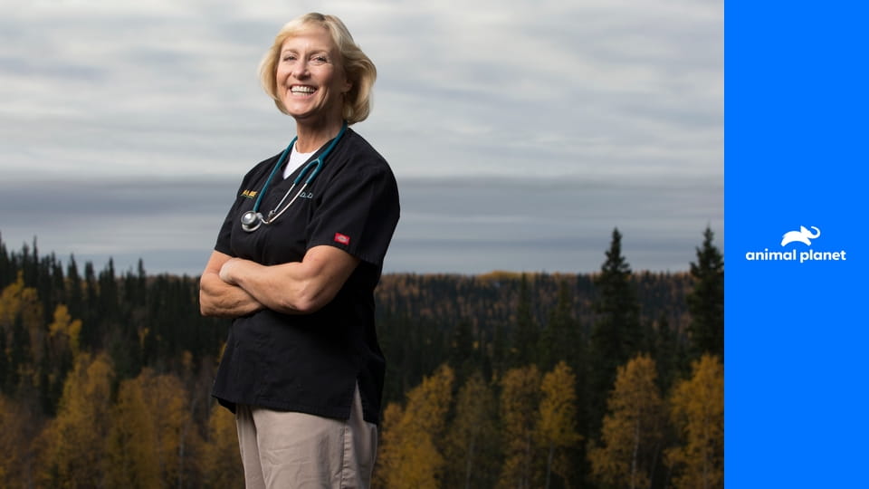 Доктор Ди: ветеринар Аляски S1E7 - Операция "Пегас"