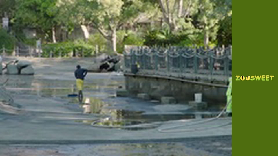 Прогулки по Дикой природе Сан-Диего - серия 21