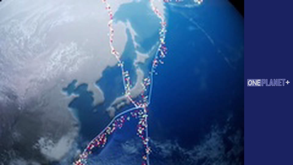 Мистецтво Простору. - серия 33