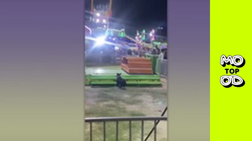 Top Mood, Сезон 2, Episode 60