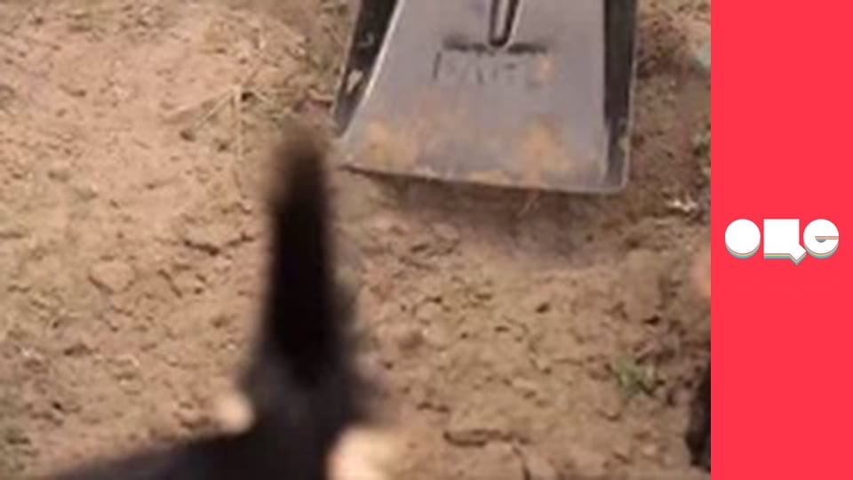 Кохання на виживання, 2 сезон, 2 еп.