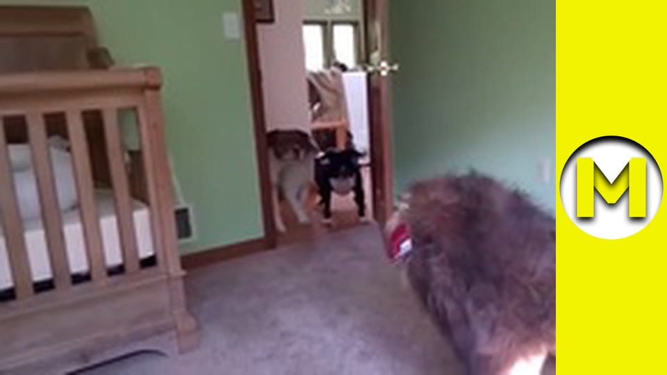 Max TV - сезон 1 - серія 144