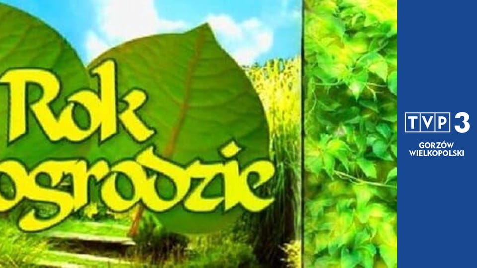 Rok w ogrodzie E1143