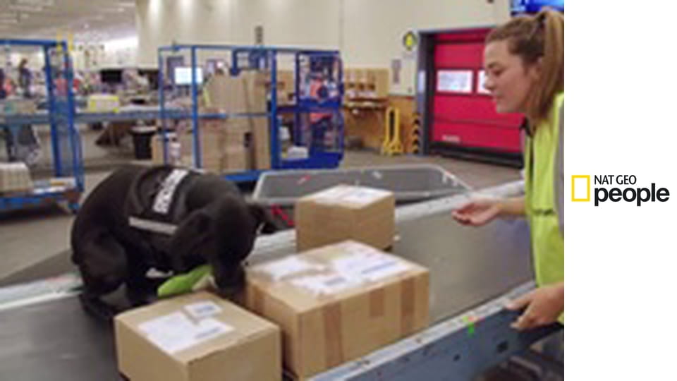 Psy na służbie S12E5