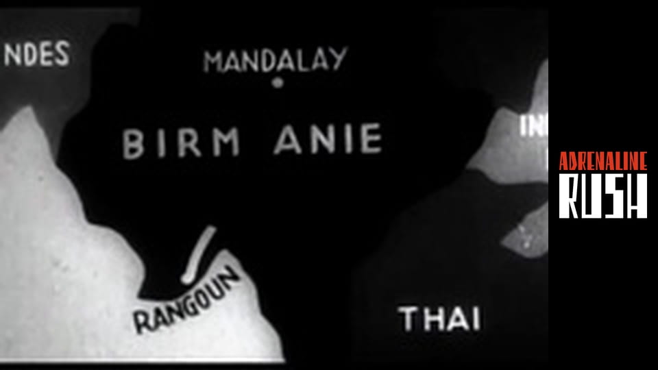 Ninja: Shadow of a Tear