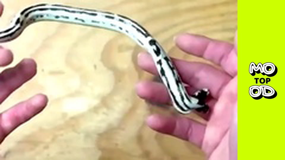 TopMood Сезон 4 Епізод 6