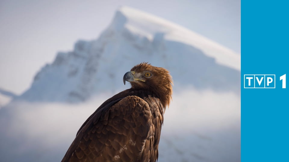 Planeta Ziemia S3E6 - Skrajności