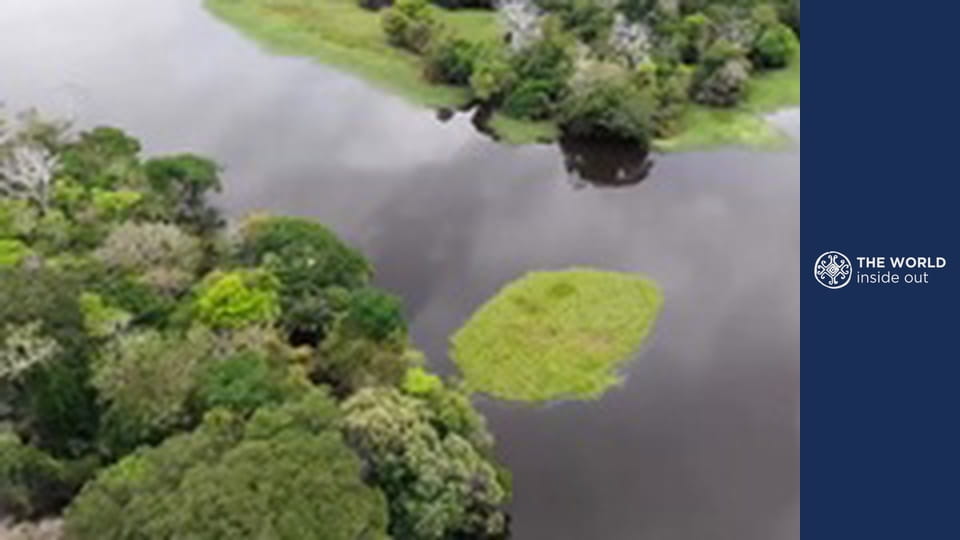 " Extrém halászat és a kalózok áldozatai. Brazília."