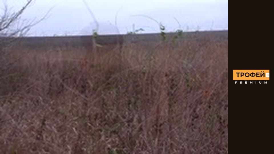 Трофейне полювання. Серiя 44