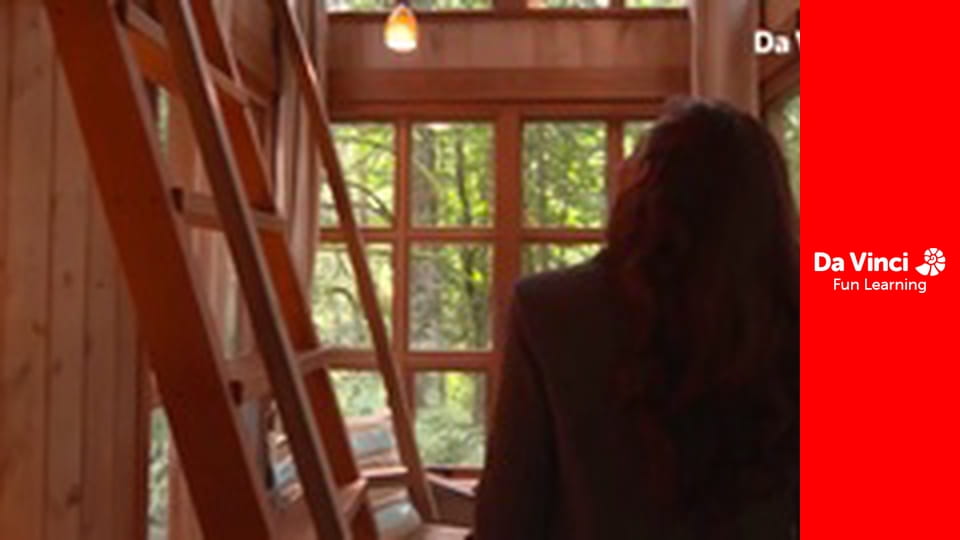 Винаходи - Розкішні хатинки на деревах