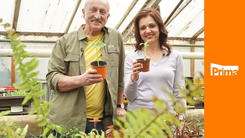 Receptář prima nápadů