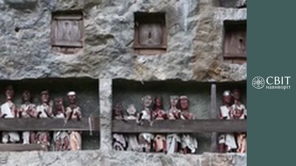 Сезон 5, Випуск 5, Індонезія