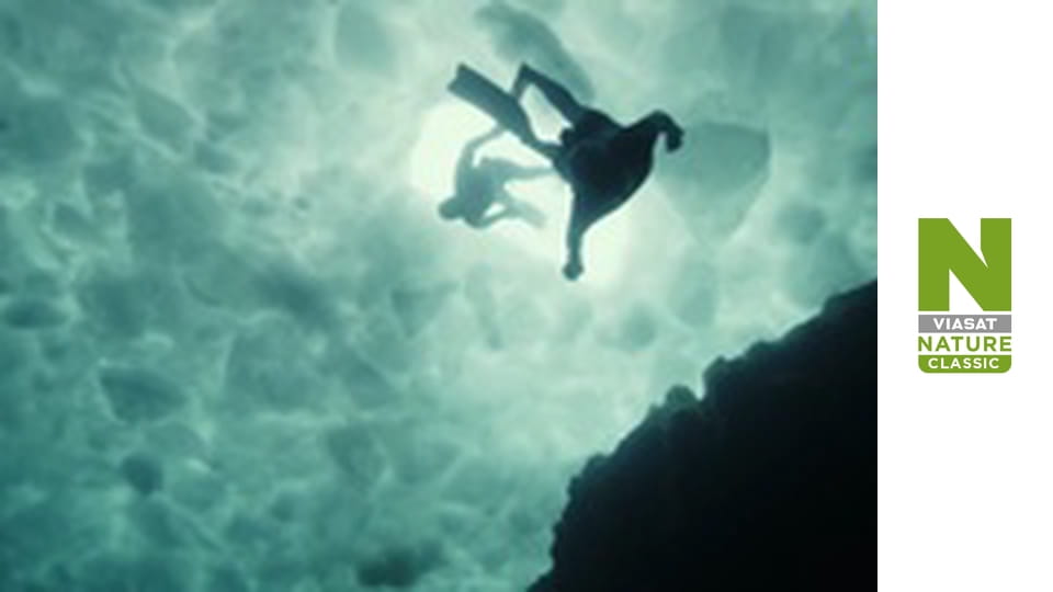 Великі озера - Велика заморозка