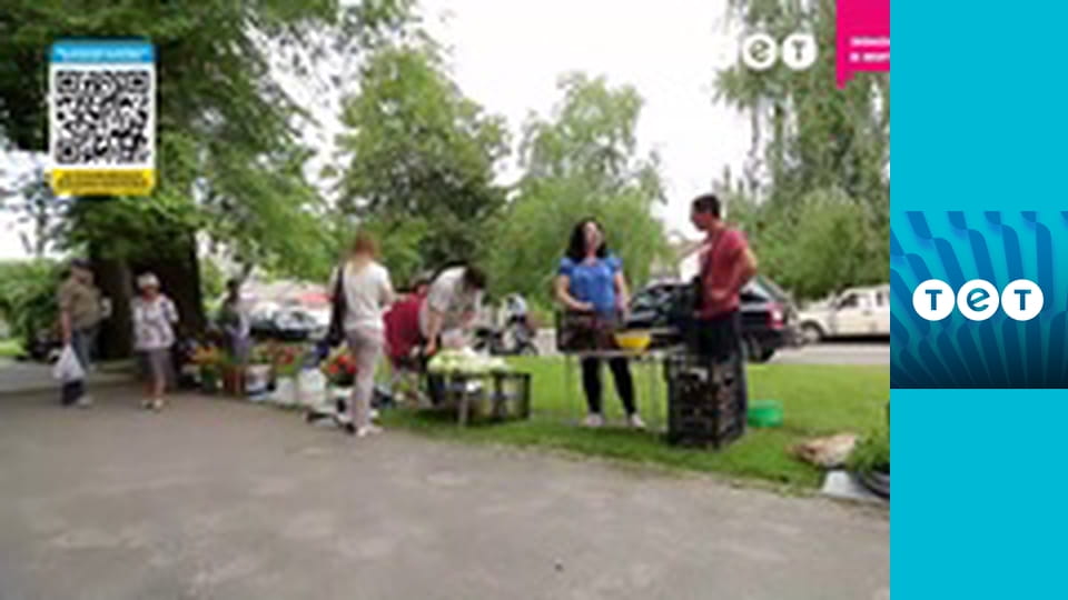 Панянка-селянка