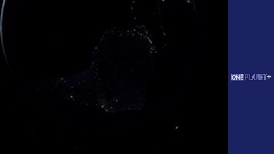 Reach for the Stars. - episode 12