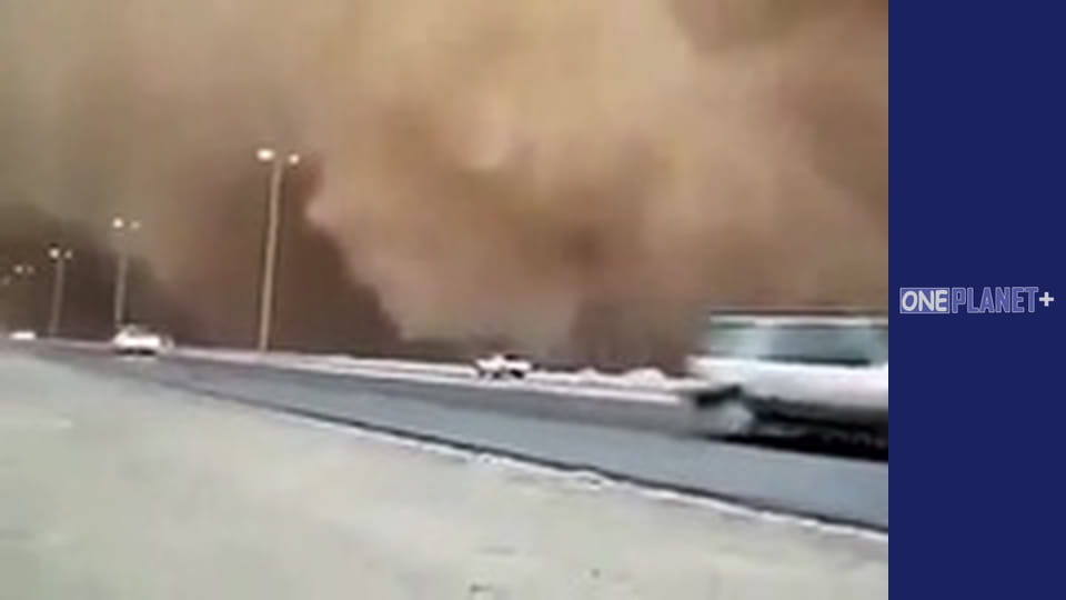 У пошуках знань. - серия 4