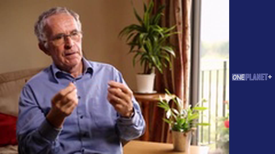 В поисках знаний. - cерия 4