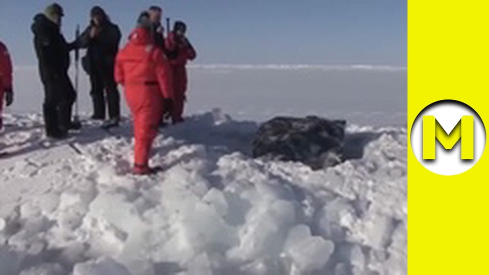 TOP (Max TV) - сезон 3 - серія 41