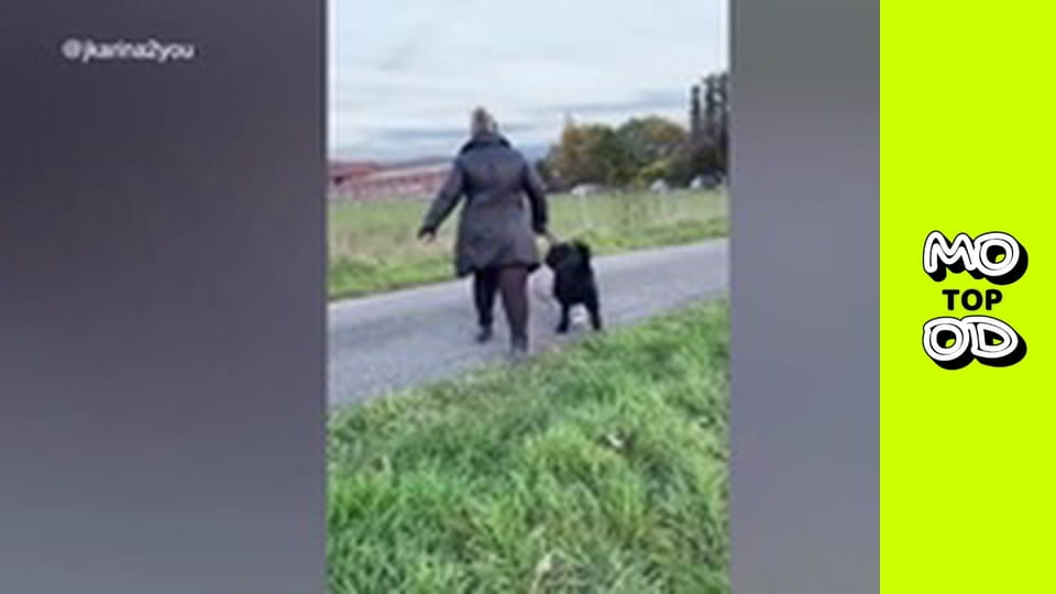 TopMood - Episode 78