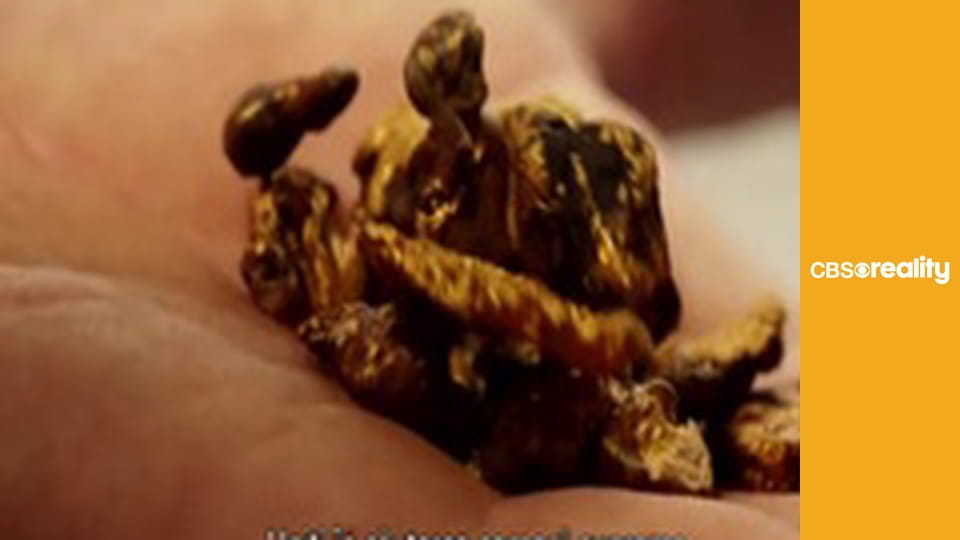 Relative Justice E124