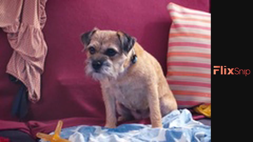 Прекрасний день