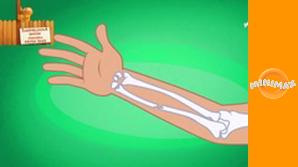 Byla jednou jedna… Věc S1E63 - Sádra