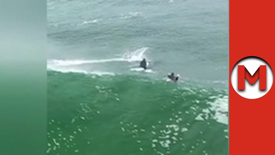 "Макс Шоу" сезон 1 серия 33