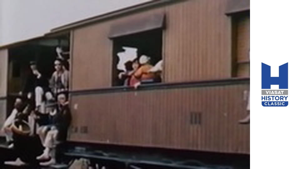 История без прикрас - Вьетнам