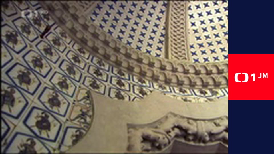 Banánové rybičky - Jak přežít učitele a školu