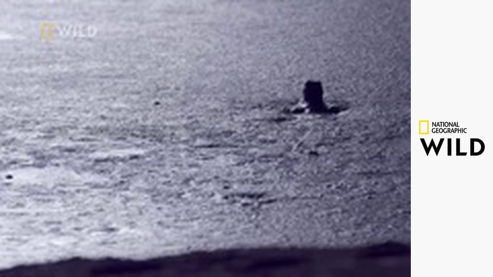 Śmierć przychodzi po zmroku E1 - Powrót żywych trupów