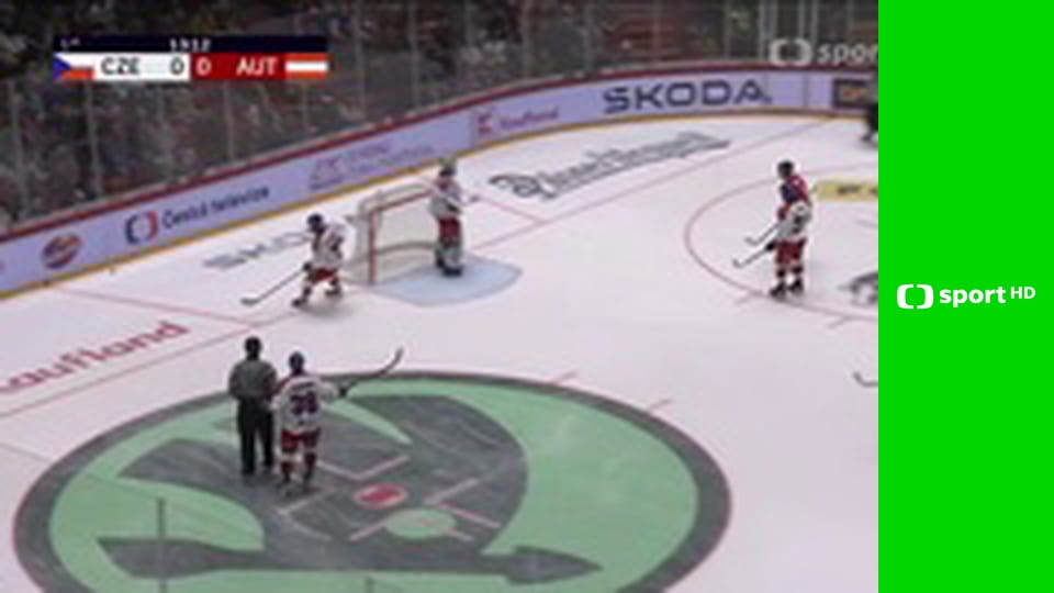 Lední hokej: Mezinárodní přátelský zápas