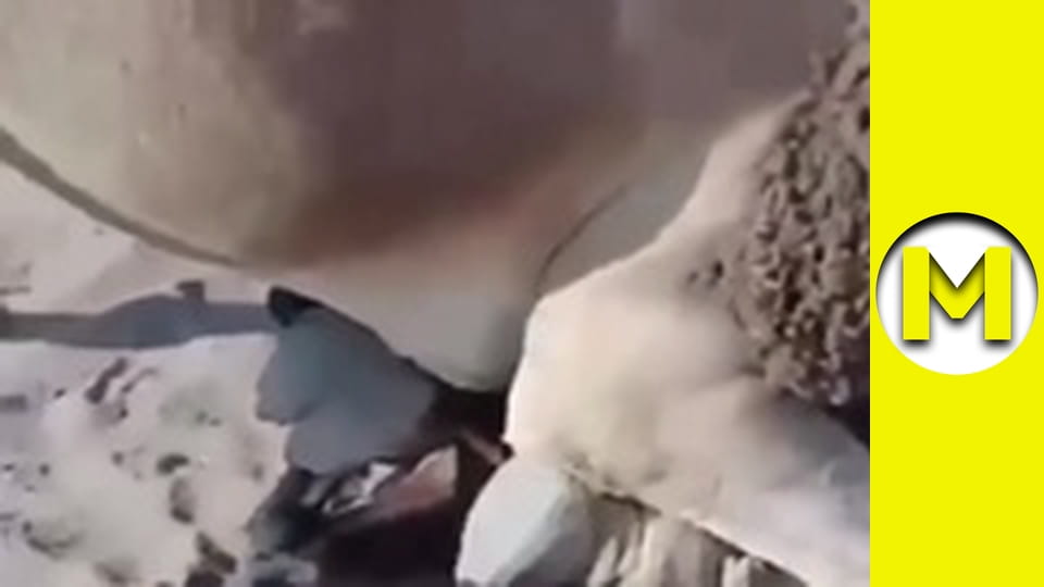 Max TV - сезон 1 - серия 129