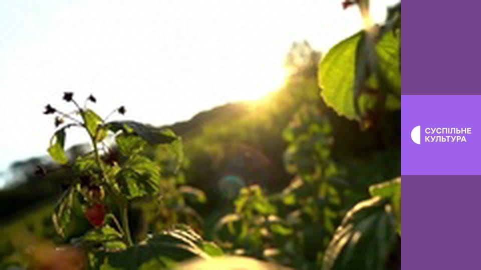 Гімн України.