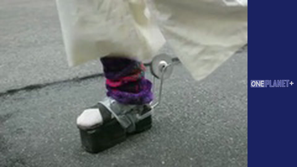 У ритмі танцю навколо світу. Сезон 2 - серія 11